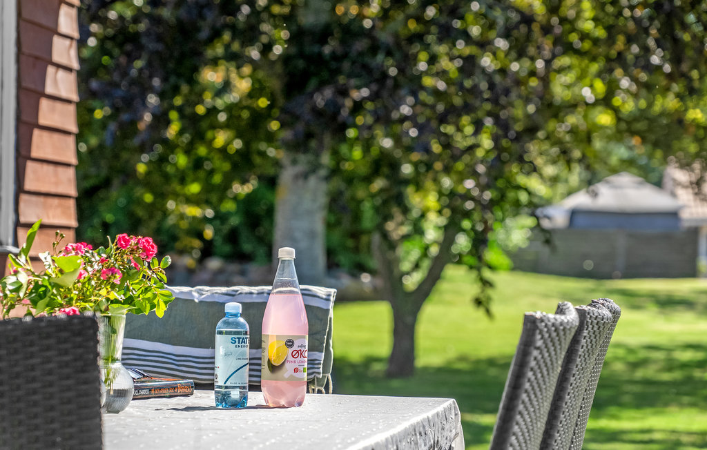 Ferienhaus - Als Odde , Dänemark - D63113 10