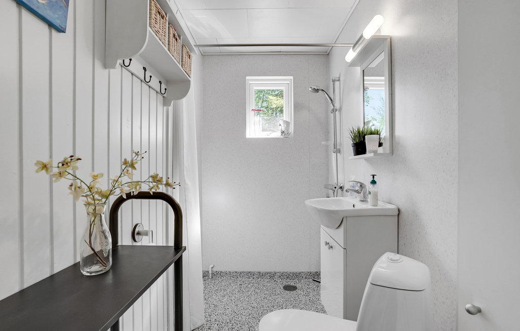 Ferienhaus - Als Odde , Dänemark - D63090 17