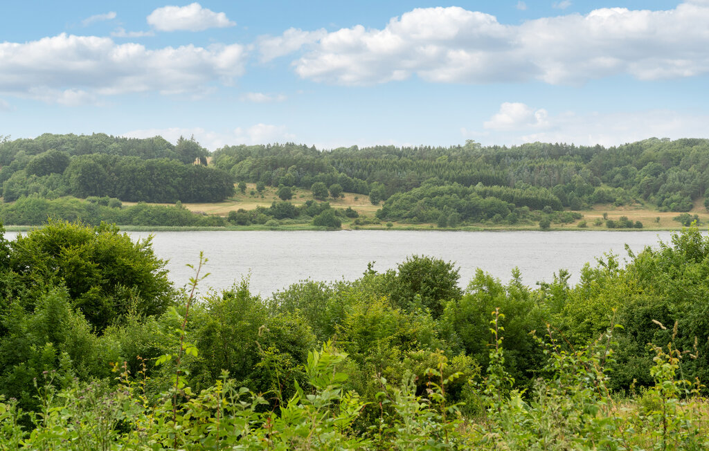 Feriehuse - Mariager Fjord , Danmark - D63007 21