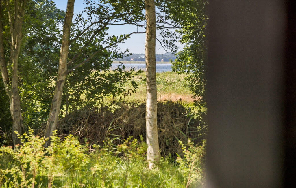 Ferienhaus - Helberskov Strand , Dänemark - D63020 15