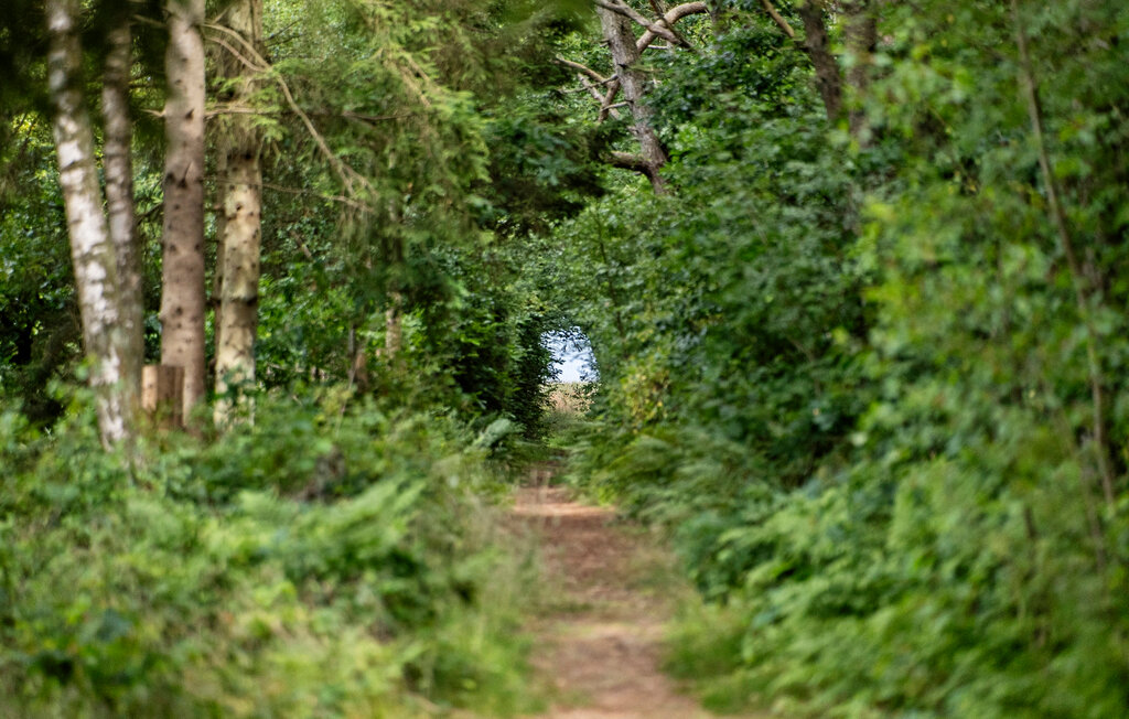 Ferienhaus - Helberskov , Dänemark - D63034 25