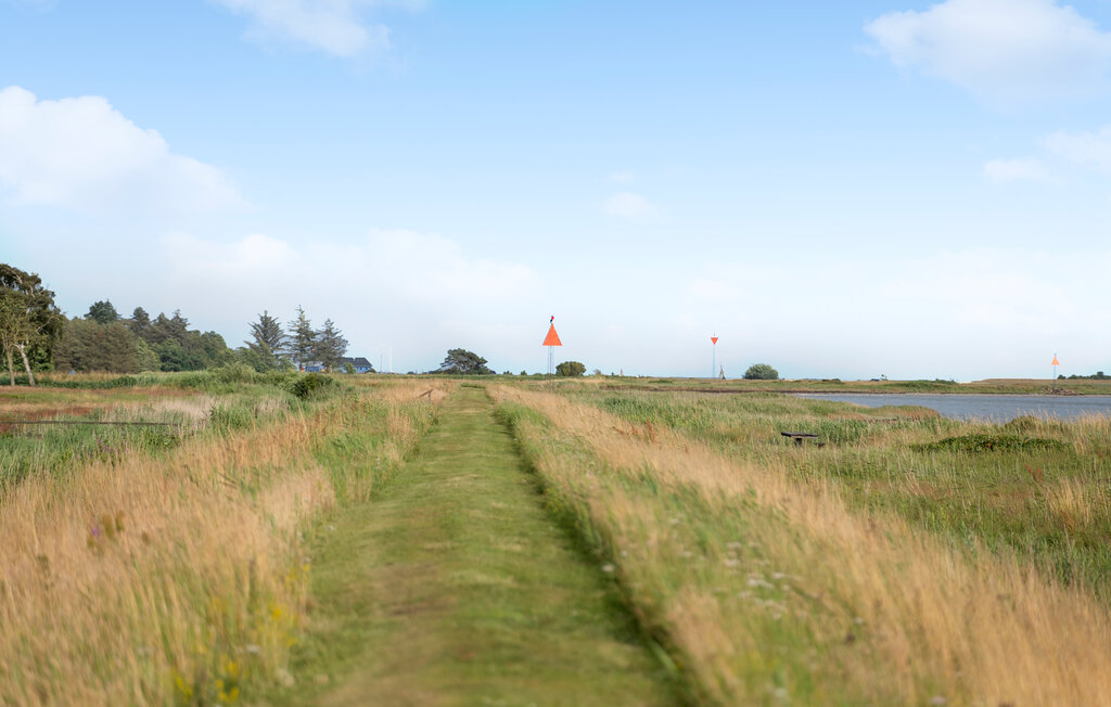 Location de vacances - Als Odde/Helberskov , Danemark - D63420 25