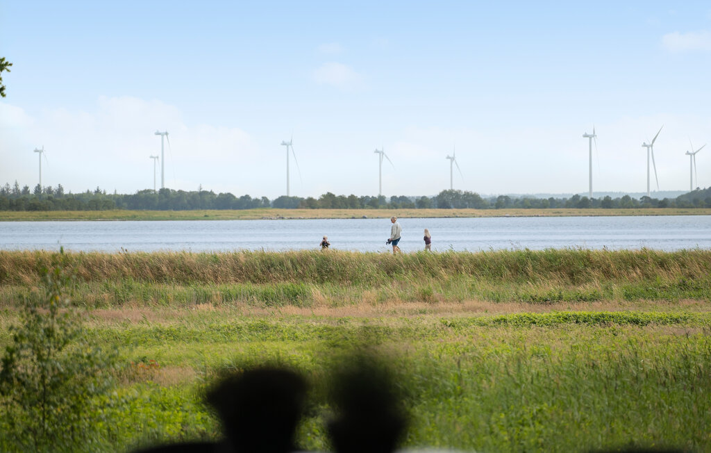 Location de vacances - Als Odde/Helberskov , Danemark - D63420 13