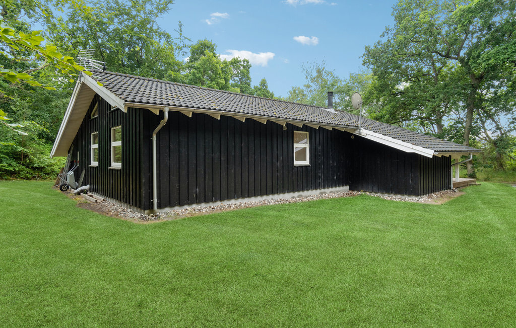 Bild 5 Bild 5
