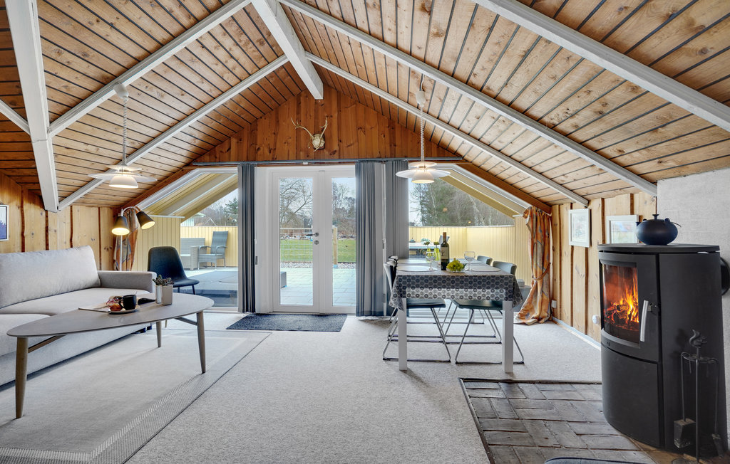 Ferienhaus - Als Odde Strand , Dänemark - D6688 4