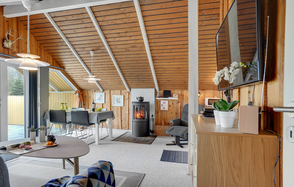 Ferienhaus - Als Odde Strand , Dänemark - D6688 18