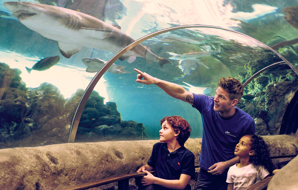 Feriehus - Grenå Strand , Danmark - D70094 47