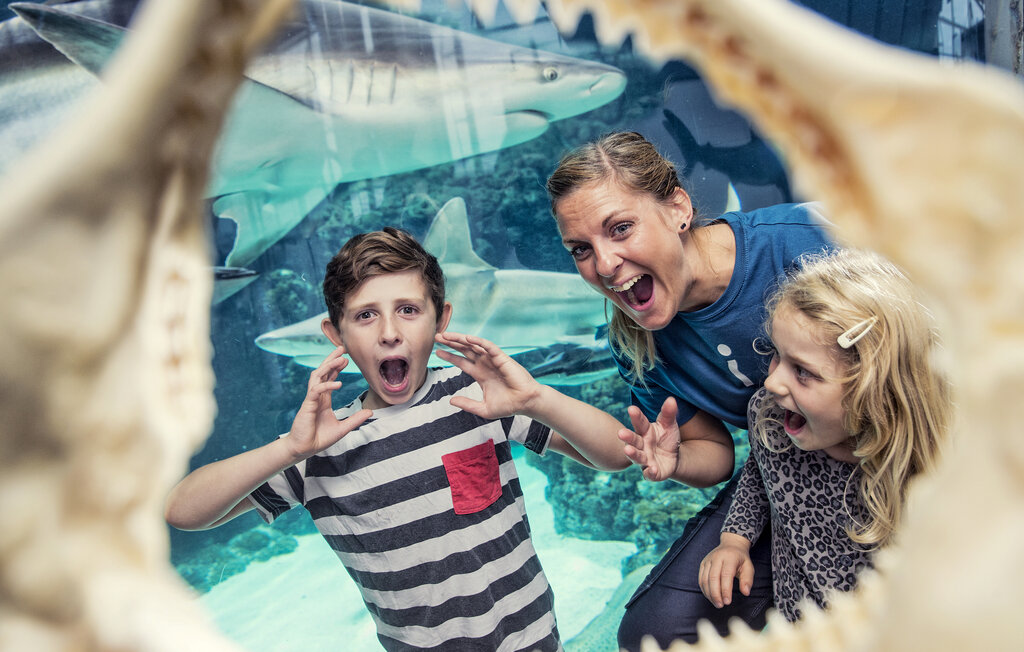 Feriehus - Grenå Strand , Danmark - D70094 48