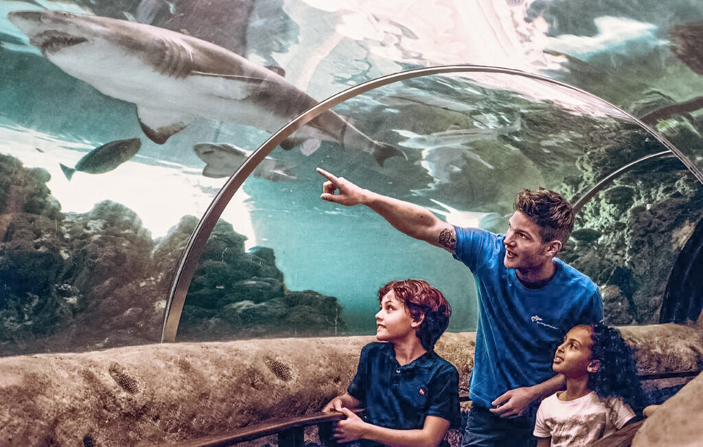 Ferienhaus - Grenå Strand , Dänemark - D70302 24