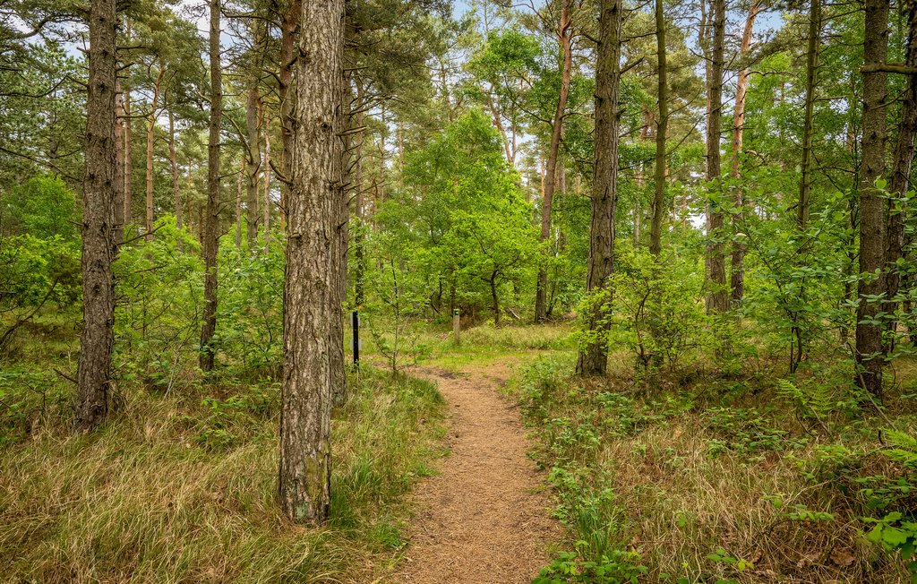 Feriehuse - Grenå , Danmark - D70044 17