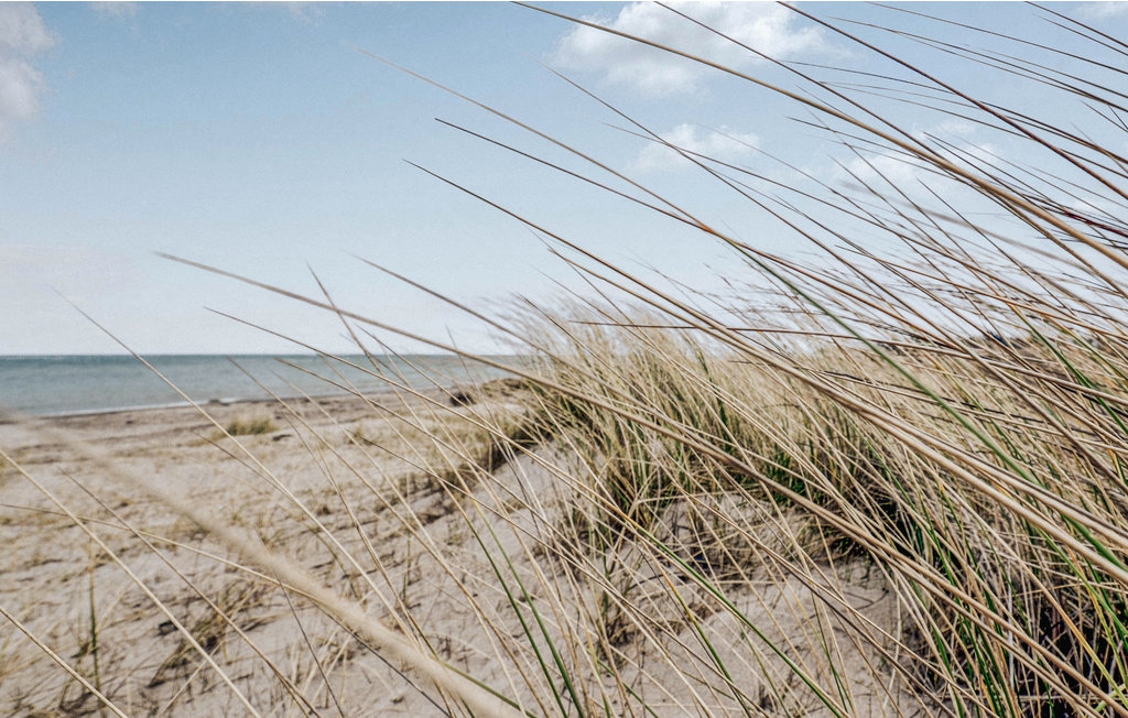 Feriehus - Gjerrild Nordstrand , Danmark - D71022 19