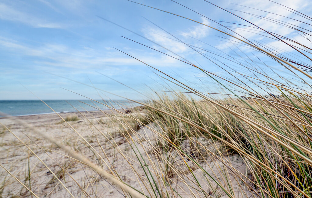 Feriehus - Gjerrild Nordstrand , Danmark - D71007 28