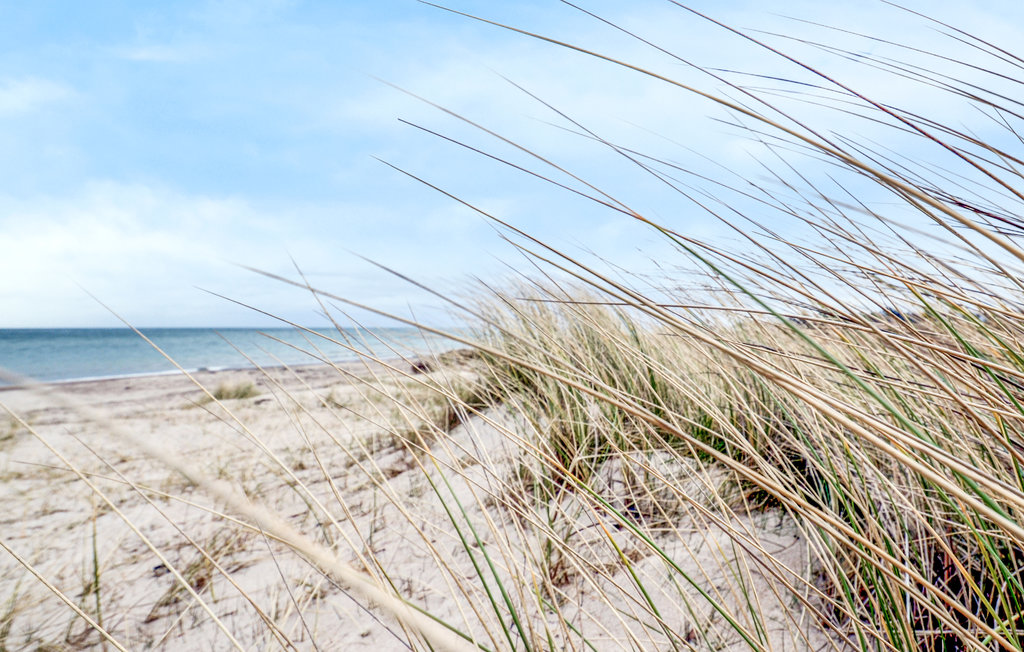 Feriehus - Gjerrild Nordstrand , Danmark - D71017 27