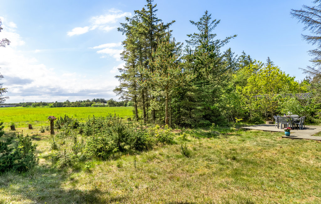 Ferienhaus - Grønhøj Strand , Dänemark - D7130 17