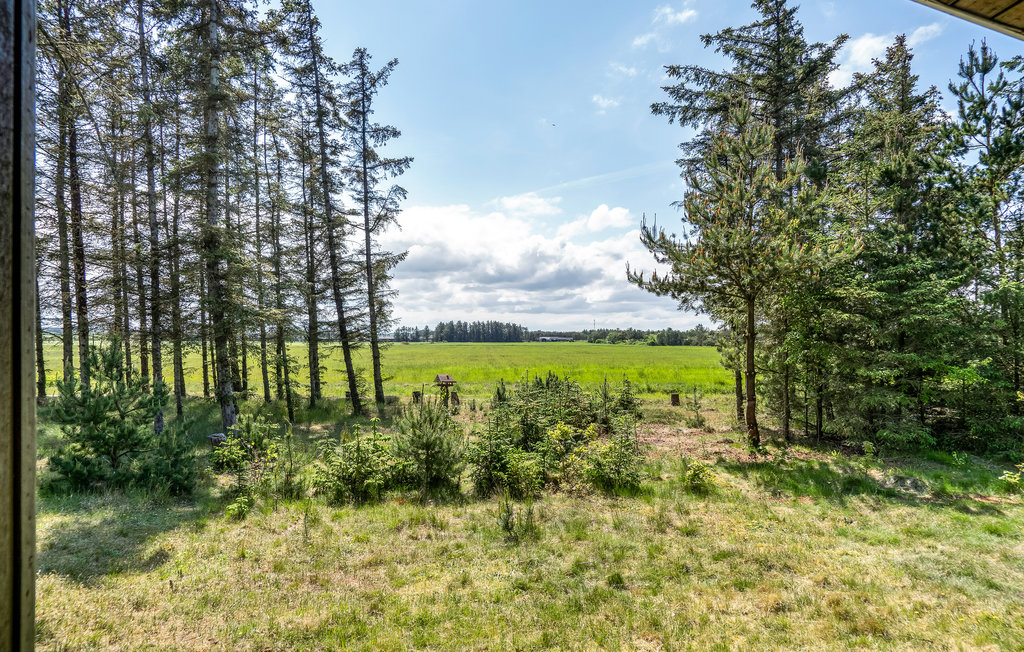 Ferienhaus - Grønhøj Strand , Dänemark - D7130 16