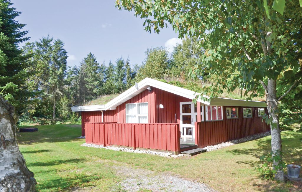 Feriehus - Blokhus , Danmark - D7170 6