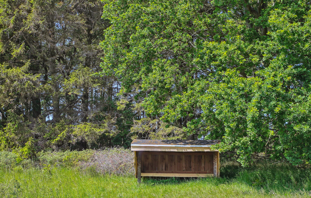 Feriehus - Gjerrild , Danmark - D71036 16