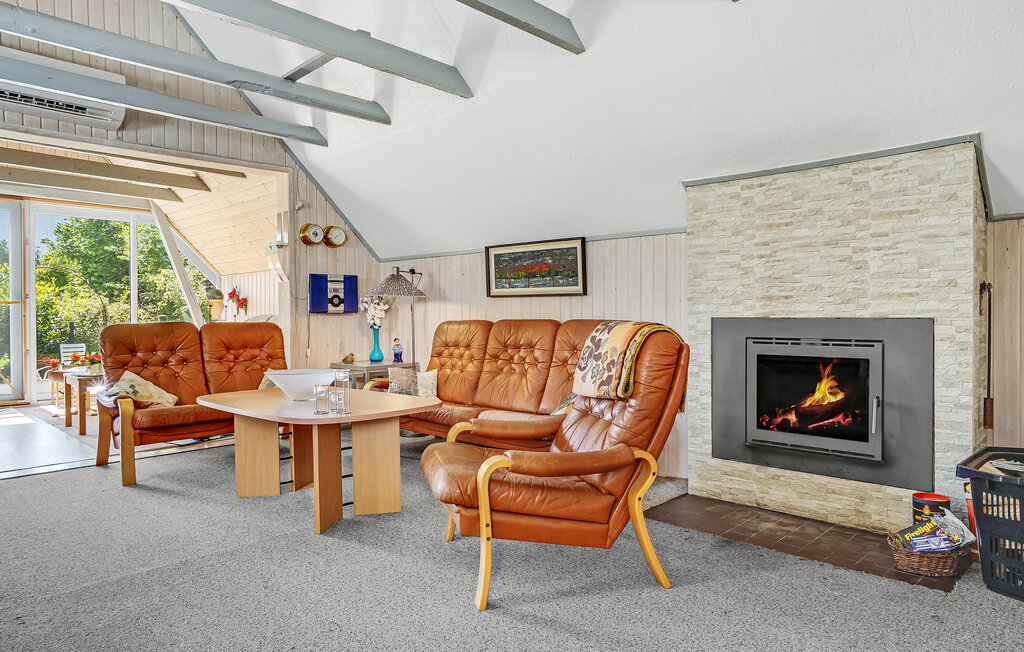 Ferienhaus - Selkær Mølle , Dänemark - D72017 3