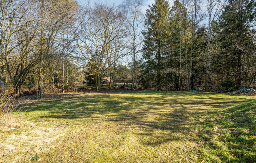 Feriehuse - Selkær Mølle , Danmark - D72052 10