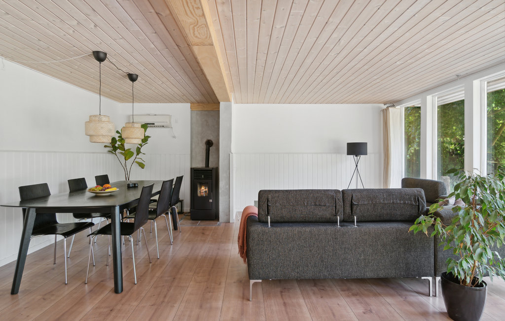 Ferienhaus - Selkær Mølle , Dänemark - D72023 4