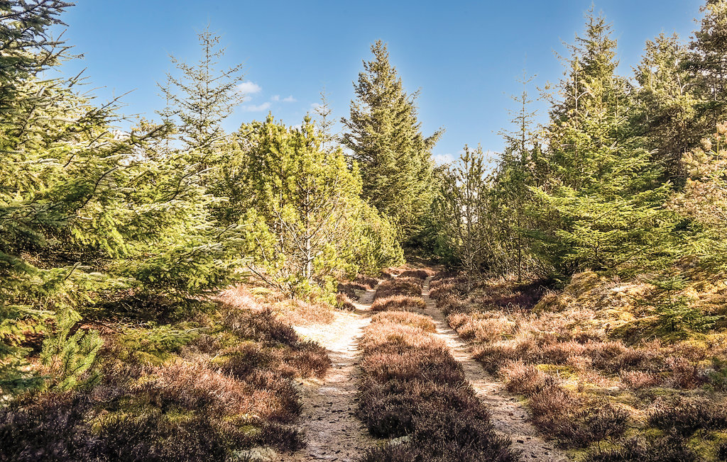 Feriehuse - Rødhus , Danmark - D7200 42