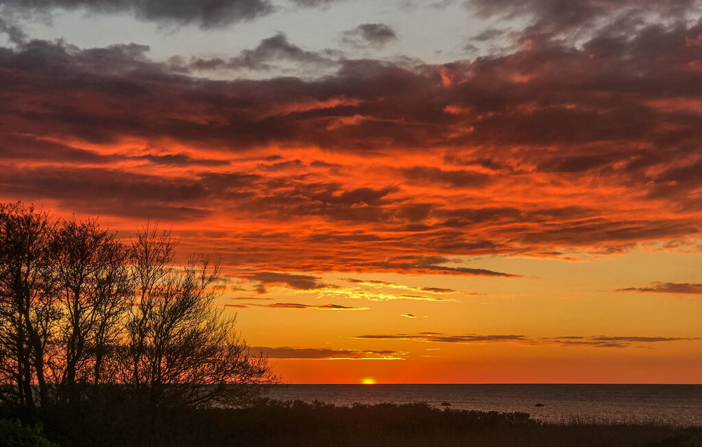 Feriehus - Bønnerup , Danmark - D73024 29
