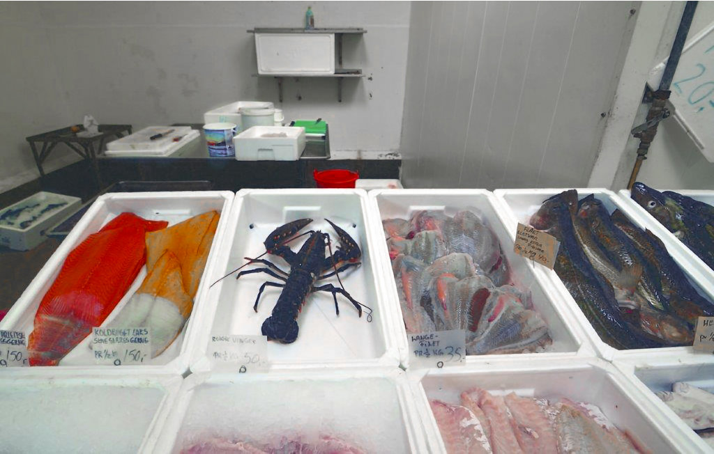 Feriehus - Bønnerup Strand , Danmark - D73080 36