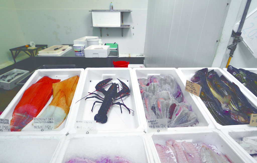 Feriehuse - Bønnerup Strand , Danmark - D73603 21