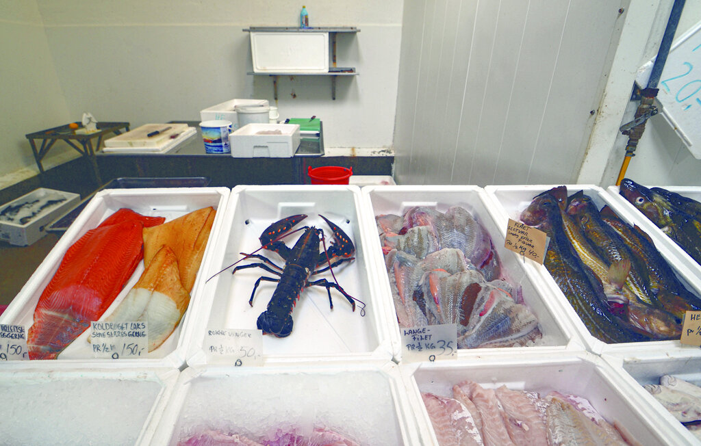 Semesterhus - Bønnerup Strand , Danmark - D73742 32