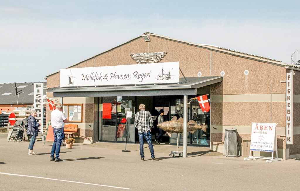 Semesterhus - Bønnerup Strand , Danmark - D73742 31