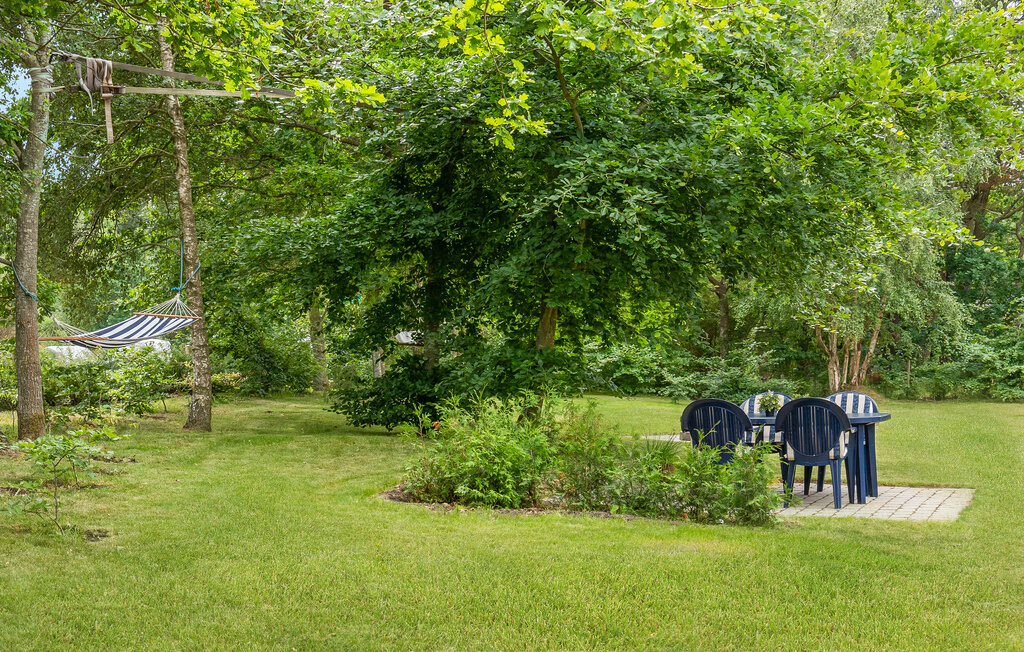 Ferienhaus - Bønnerup , Dänemark - D73023 19