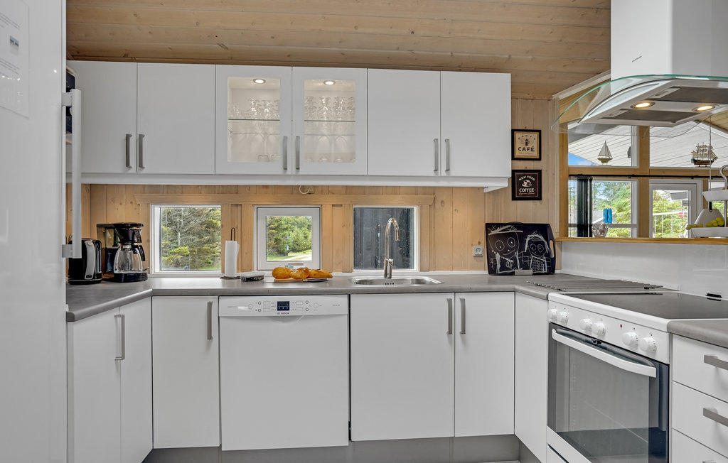 Ferienhaus - Blokhus , Dänemark - D7345 17