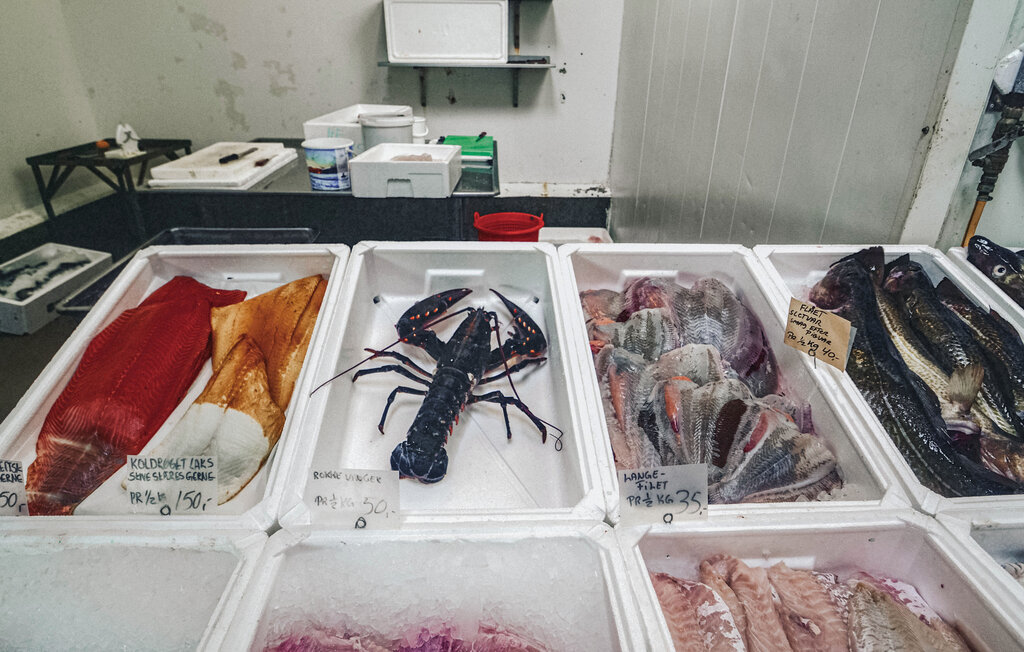 Ferienhaus - Bønnerup Strand , Dänemark - D73021 22