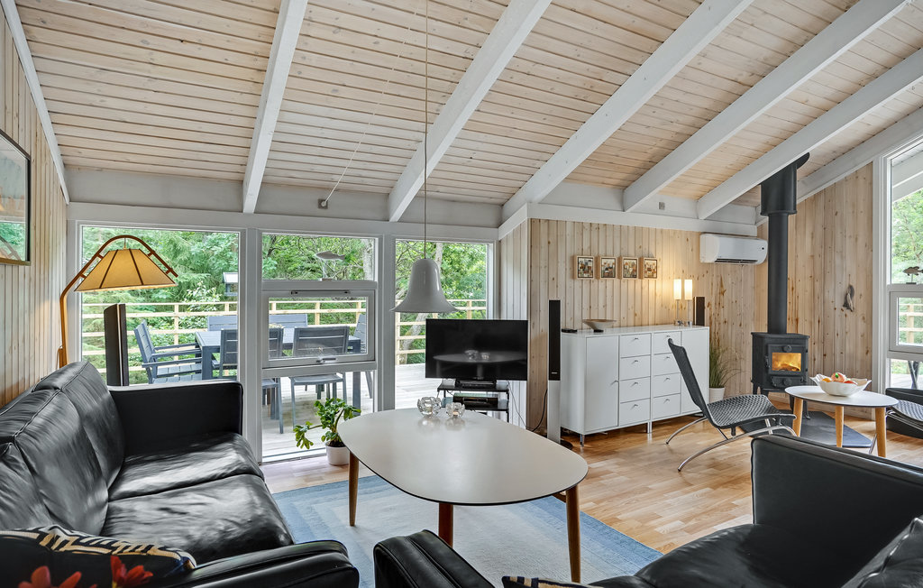 Ferienhaus - Fjellerup , Dänemark - D74441 3