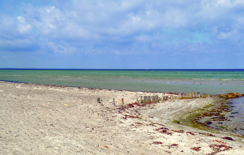 Feriehus - Fjellerup , Danmark - D74330 14