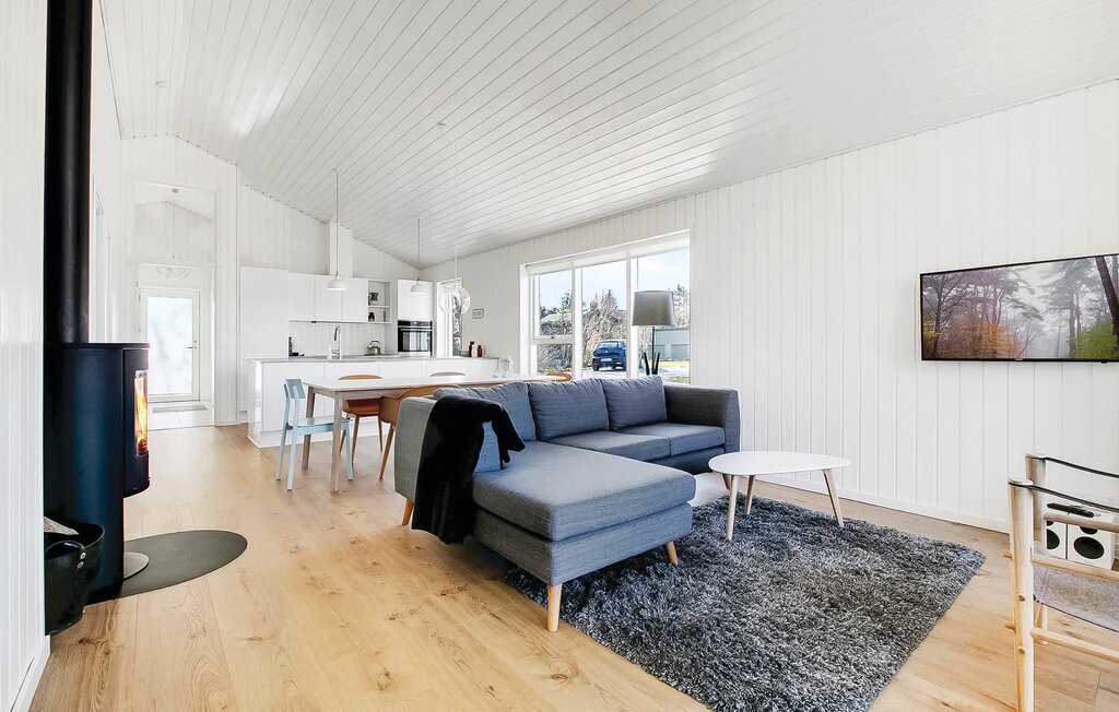 Ferienhaus - Fjellerup , Dänemark - D74020 3