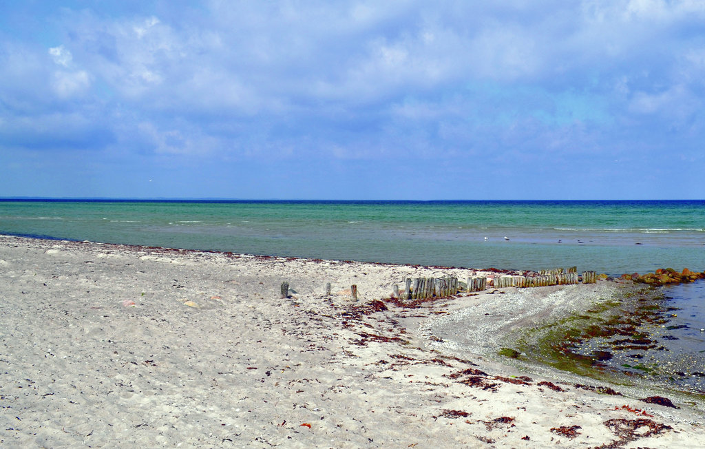 Feriehus - Fjellerup , Danmark - D74556 26