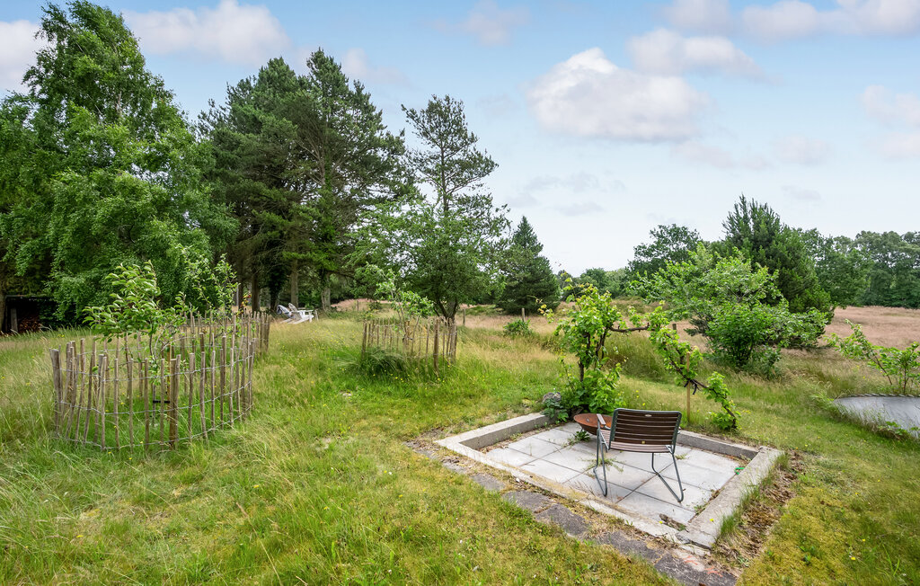 Ferienhaus - Grenå , Dänemark - D74124 20