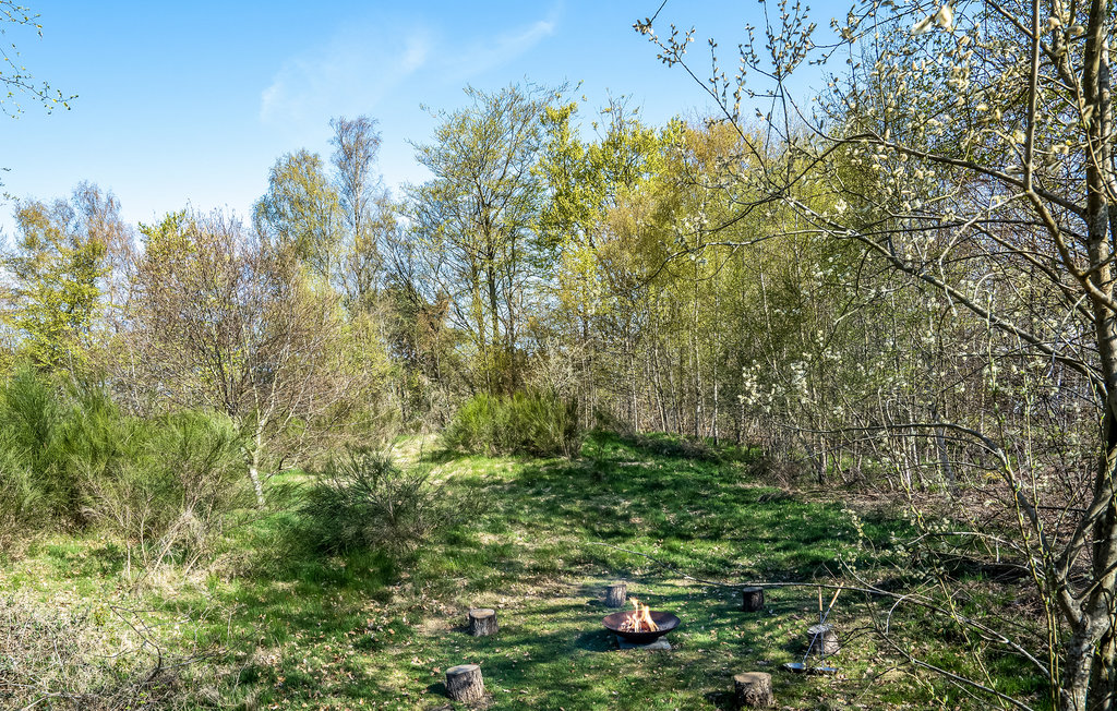 Feriehuse - Fjellerup , Danmark - D74112 14