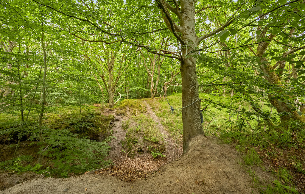 Feriehus - Fjellerup , Danmark - D74760 15