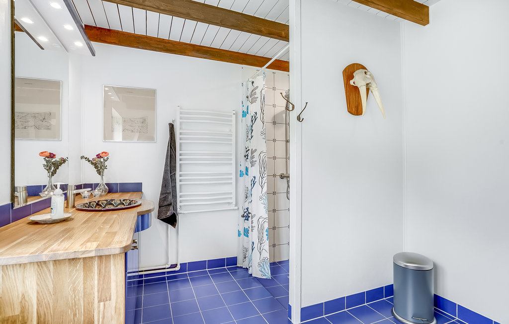 Ferienwohnung - Fjellerup , Dänemark - D74201 27