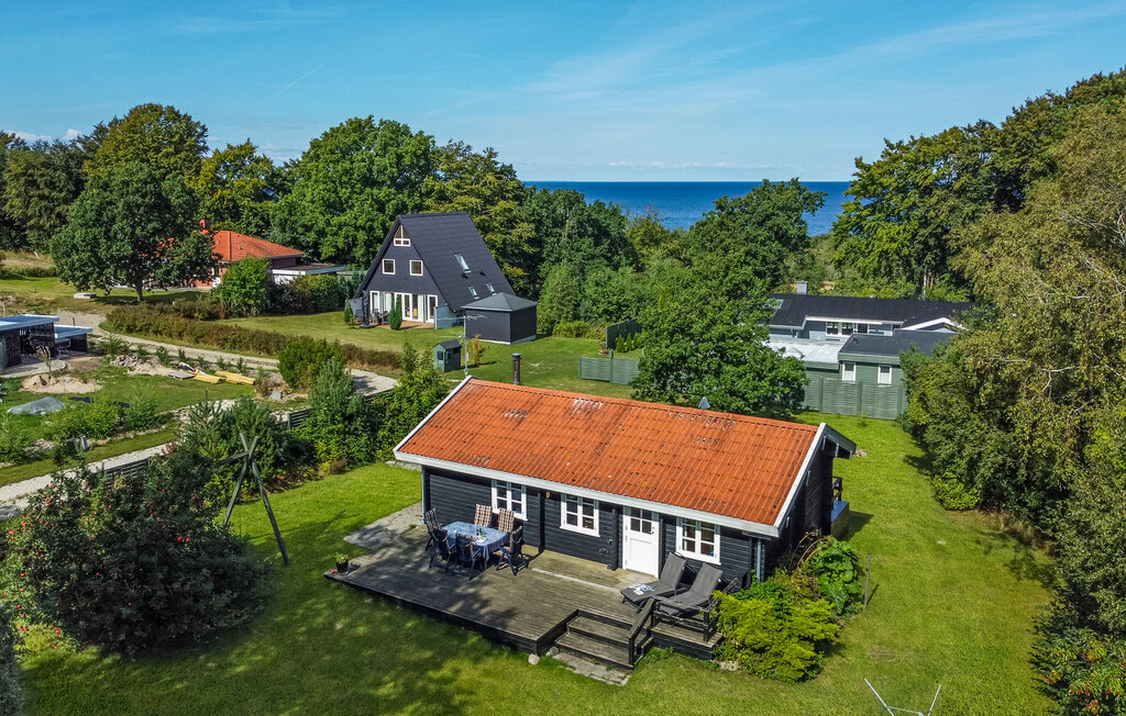 Ferienhaus - Hegedal , Dänemark - D74024 1