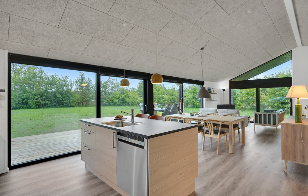 Ferienhaus - Fjellerup , Dänemark - D74031 6