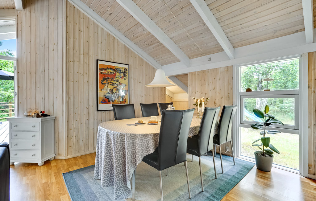 Ferienhaus - Fjellerup , Dänemark - D74441 7