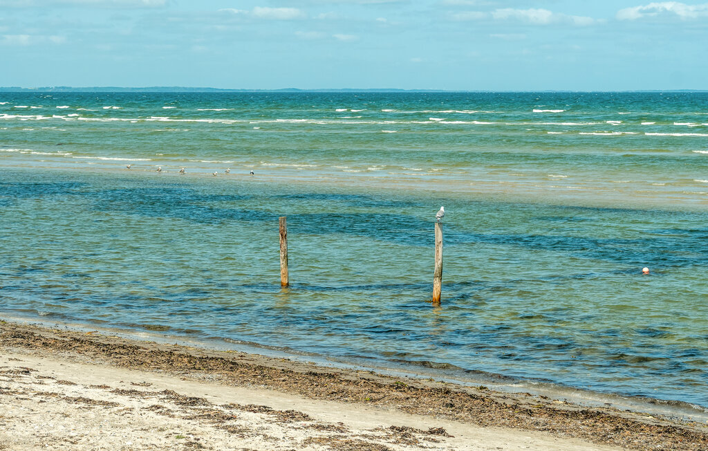Feriehus - Fjellerup , Danmark - D74029 27