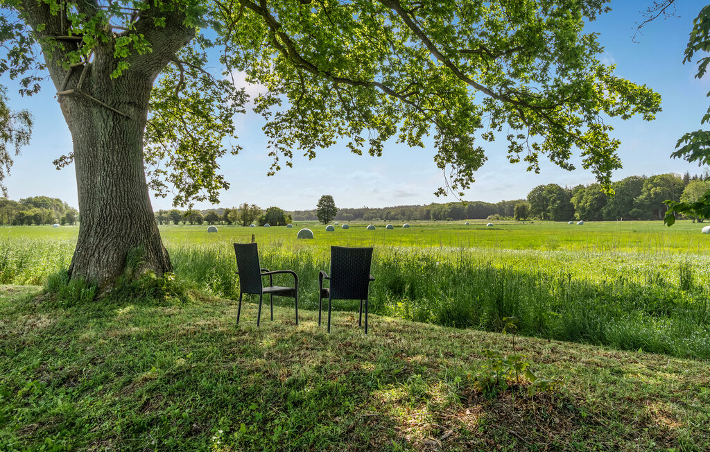 Feriehus - Fjellerup , Danmark - D74029 15