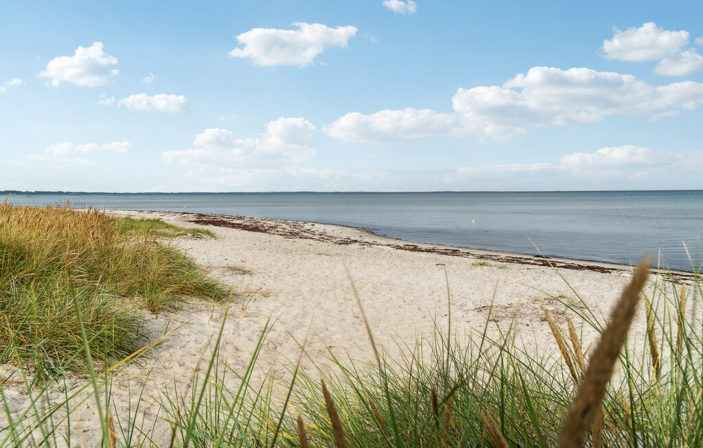 Ferienhaus - Fjellerup , Dänemark - D74022 9