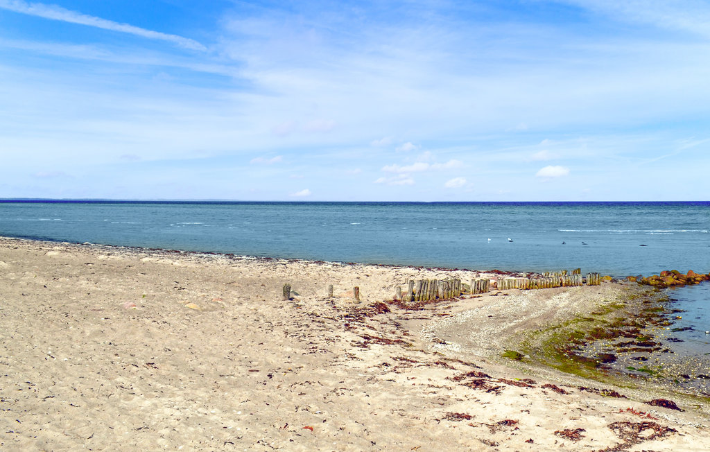 Ferienhaus - Fjellerup , Dänemark - D74213 26