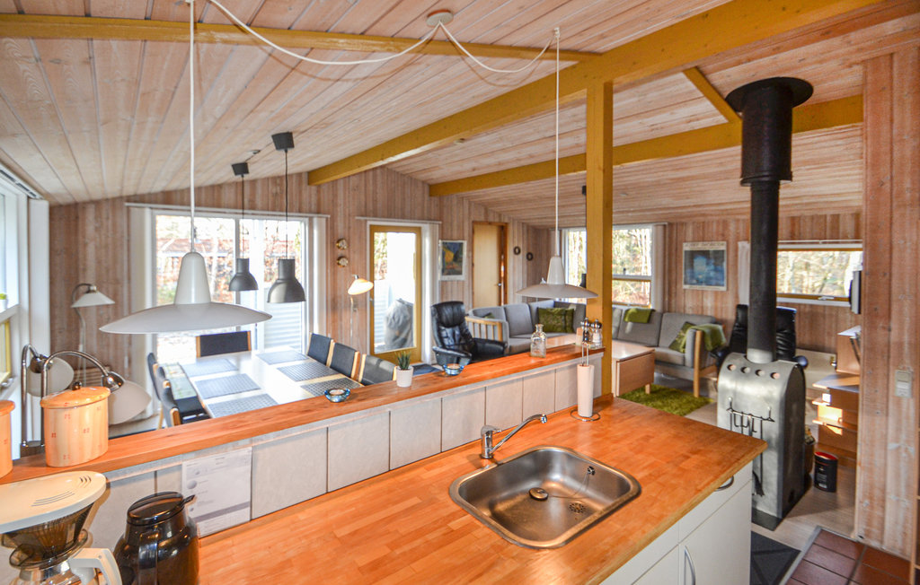 Ferienhaus - Fjellerup , Dänemark - D74213 4