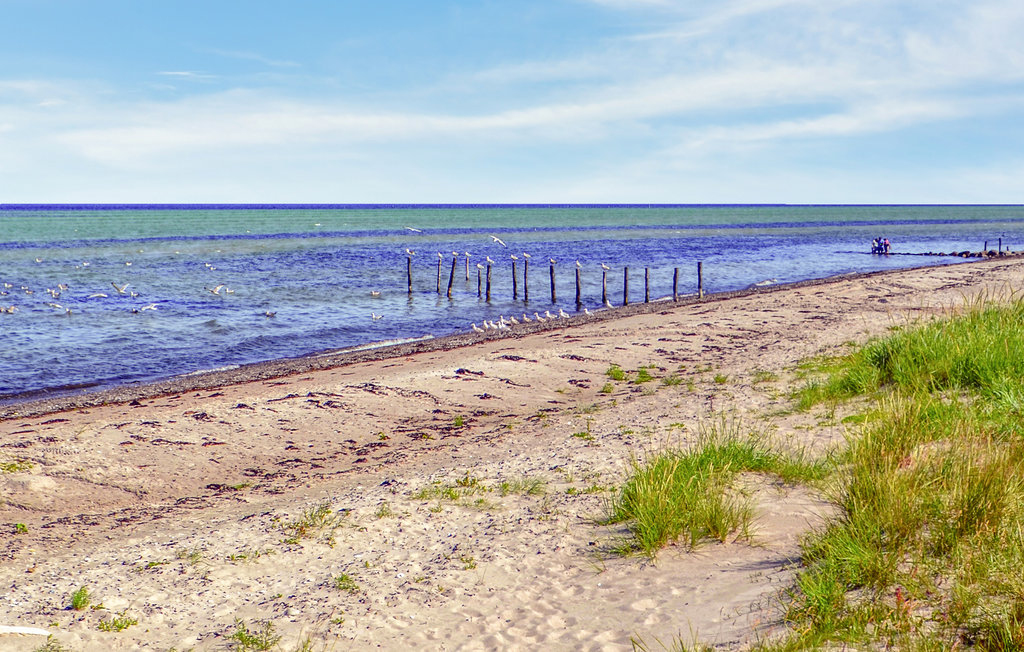 Ferienhaus - Fjellerup , Dänemark - D74435 15